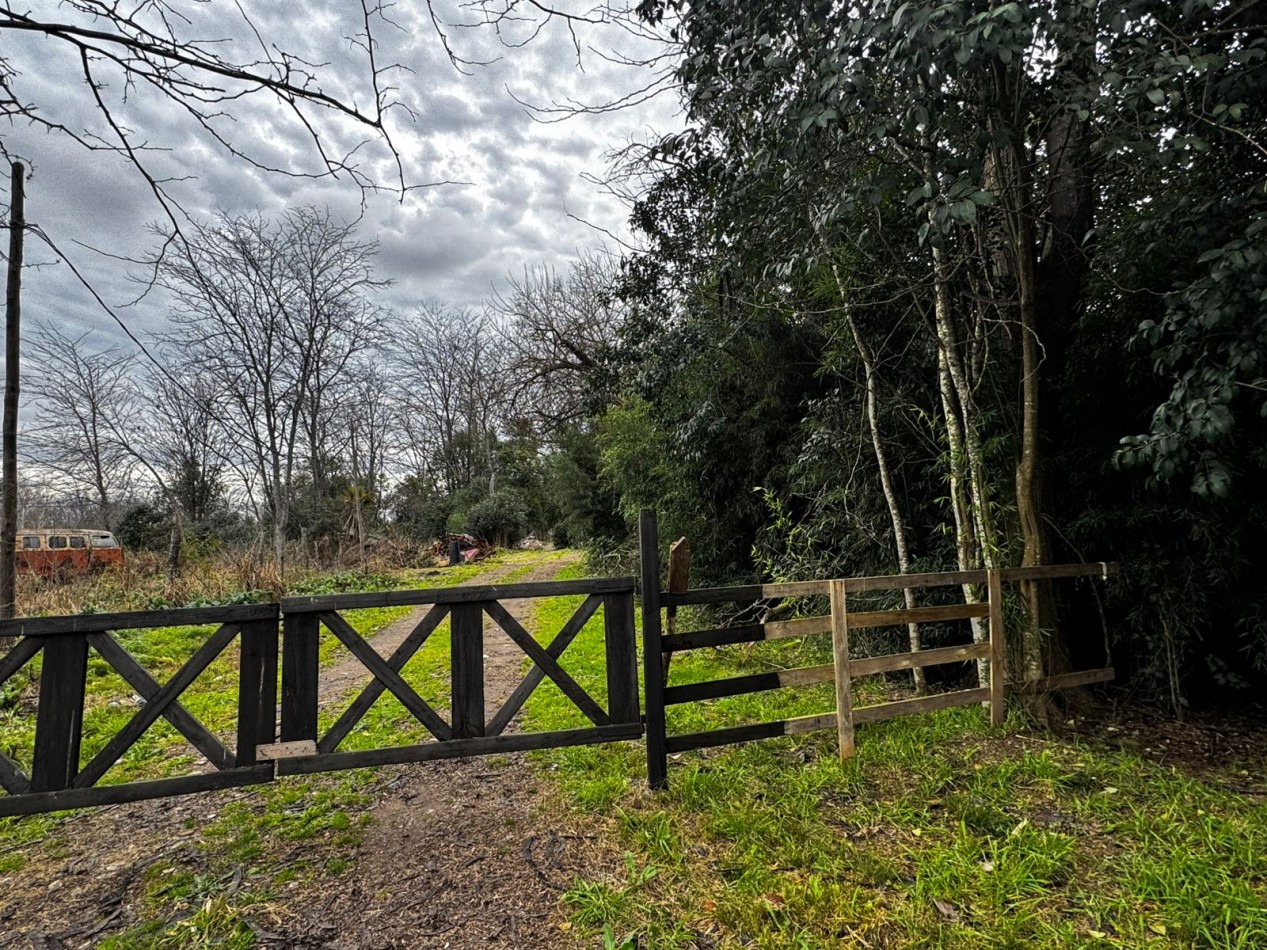 VENTA TERRENOS LA LONJA PILAR