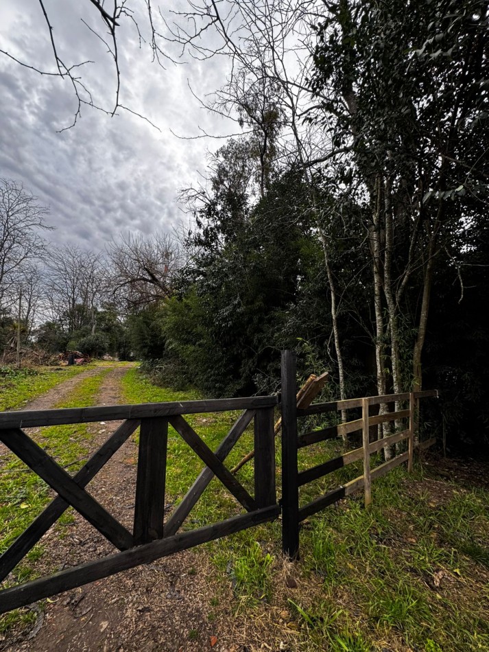 VENTA TERRENOS LA LONJA PILAR