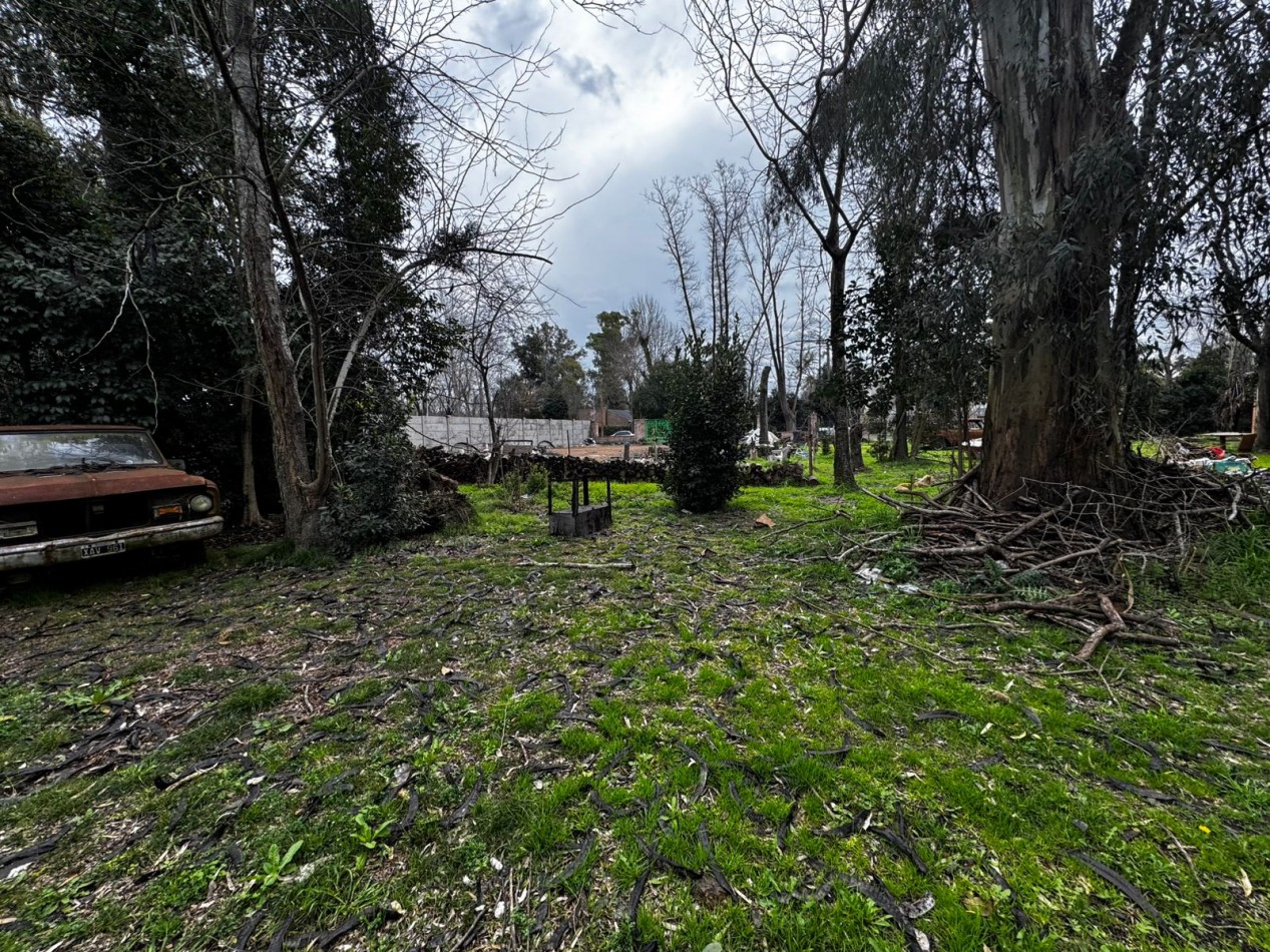 VENTA TERRENOS LA LONJA PILAR