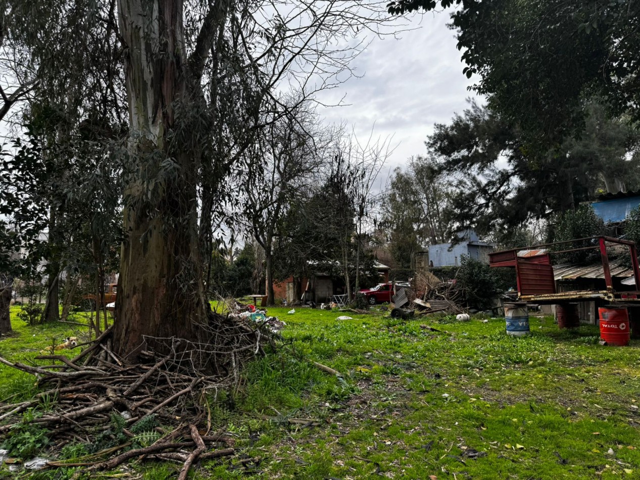 VENTA TERRENOS LA LONJA PILAR
