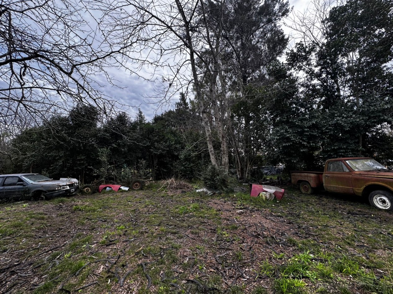 VENTA TERRENOS LA LONJA PILAR