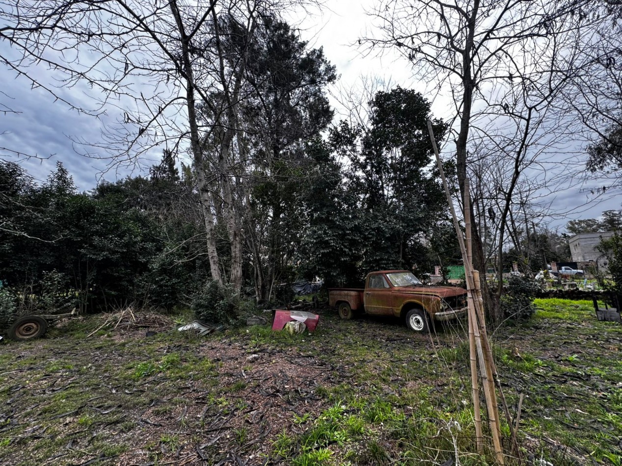 VENTA TERRENOS LA LONJA PILAR