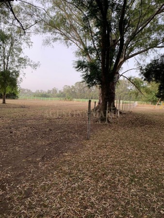 VENTA CAMPO GENERAL RODRIGUEZ