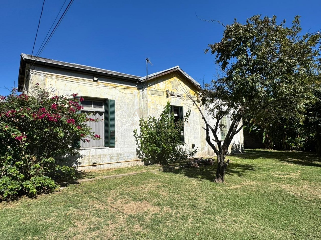 ALQUILER CASA 3 AMBIENTES CON TERRENO JCP