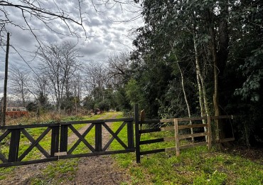 VENTA TERRENOS LA LONJA PILAR