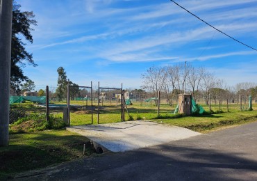 VENTA TERRENOS LA LONJA PILAR