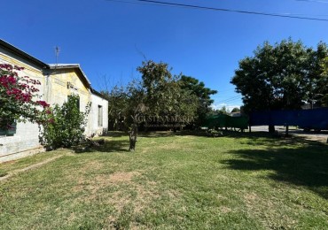 ALQUILER CASA 3 AMBIENTES CON TERRENO JCP
